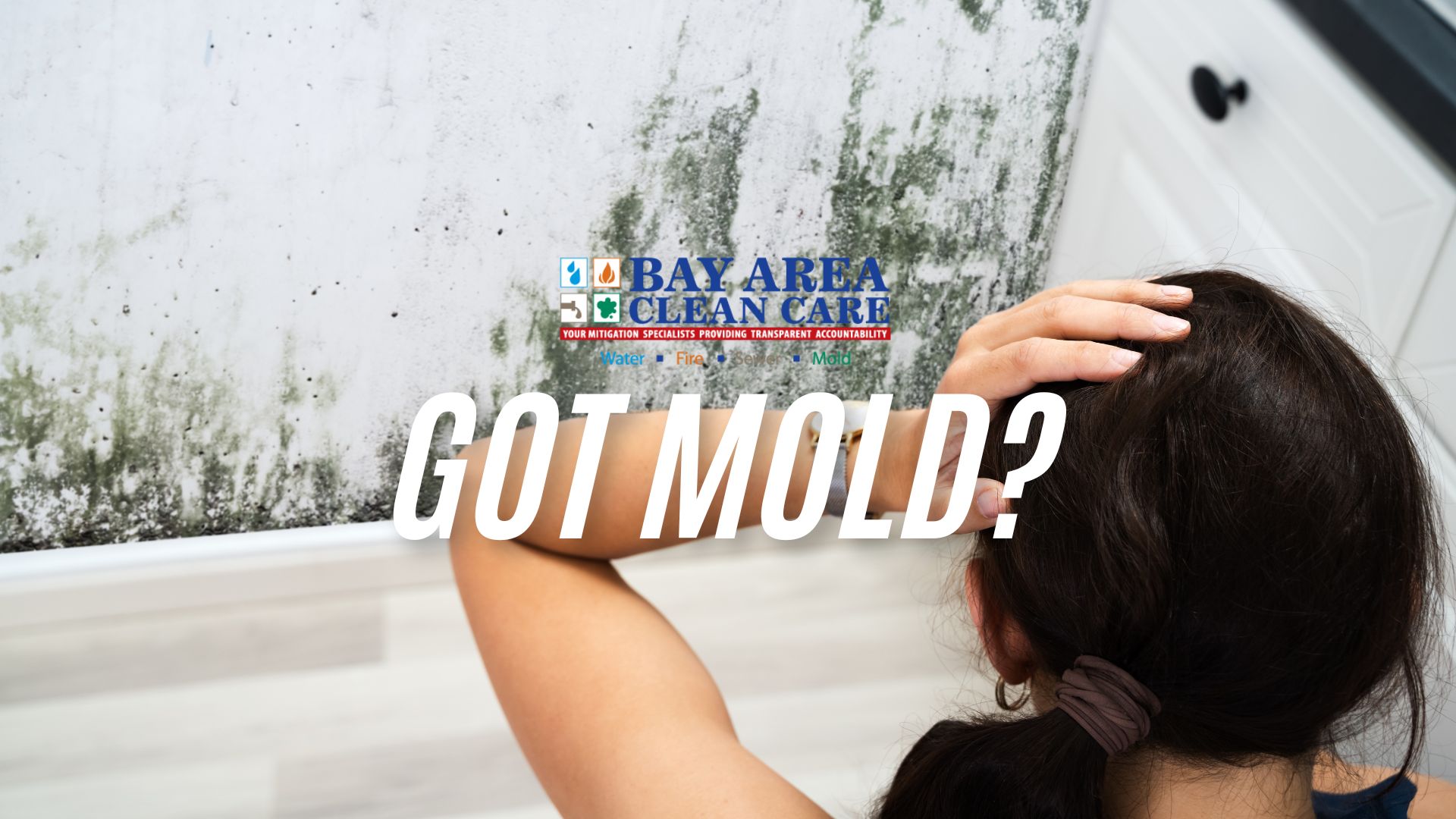 What Causes Mold?