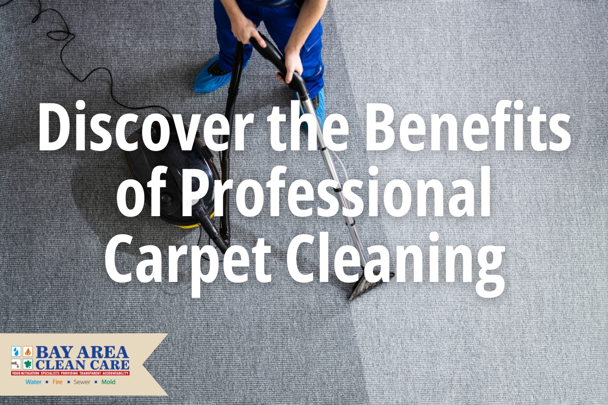 Professional Carpet Cleaning